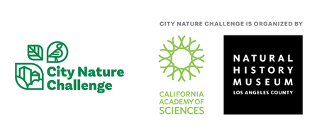logo group for City Nature Challenge