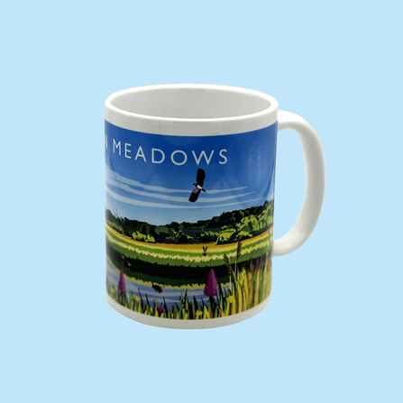 Rainton meadows Mug