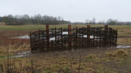 Woven wooden fence made from interlaced branches standing in a muddy wetland, with leafless trees and grey sky in the background.