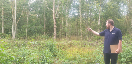  A person in a dark blue shirt stands at the edge of dense woodland, holding a clipboard and pointing toward the trees as if conducting fieldwork or an environmental survey.