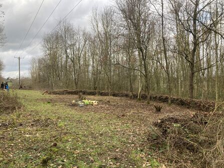 A grassy path runs through leafless woodland, with piles of cut branches along one side and a few people working near power lines in the distance under a grey, overcast sky.