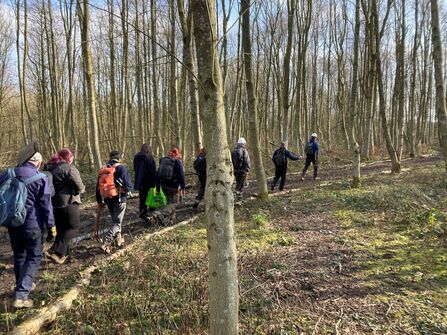 A group of people walk along a muddy woodland trail between tall, leafless trees on a sunny day, wearing outdoor clothing and backpacks.