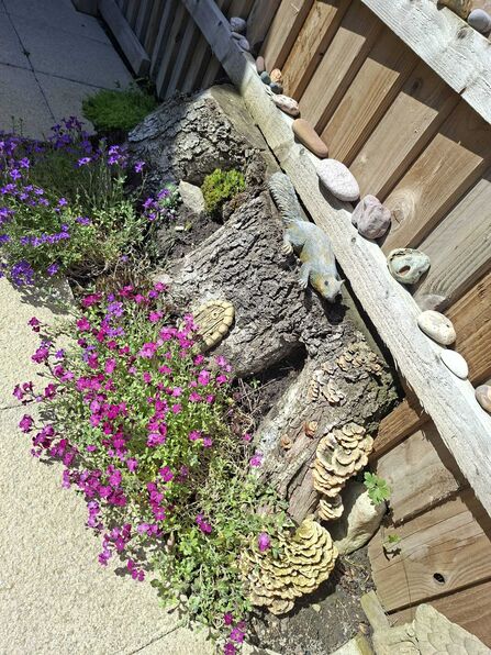 Tree stump with purple flowers and fungus.