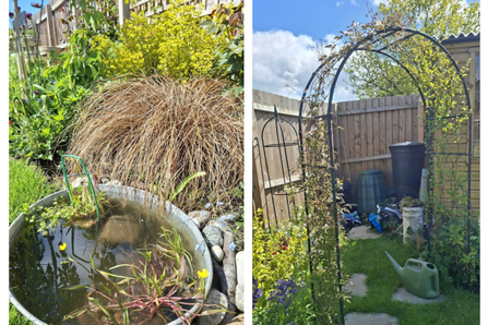 Galvanised tin pond (left). Compost bin and water butt (right).