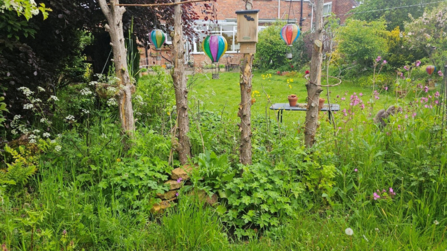 Bee hotels amongst wildflowers.