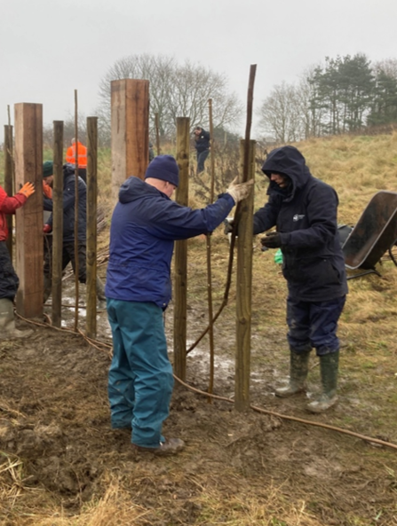 Volunteers wearing waterproof jackets, hats, and gloves work together outdoors on a muddy hillside, constructing a wooden fence. They are positioning upright posts and weaving thinner branches between them. A wheelbarrow stands nearby, and leafless trees and grassy slopes appear in the background under a grey, overcast sky.
