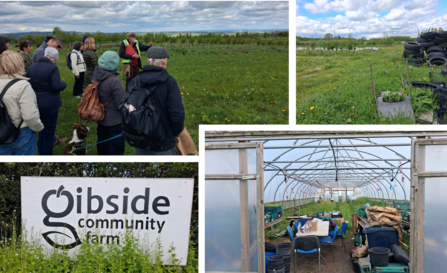 A collage showing scenes from Gibside Community Farm. In the top-left, a group of people stand in a grassy field listening to a guide wearing a high-visibility vest, with a dog on a lead among them. The top-right image shows green farmland with stacked tyres and planters under a cloudy sky. The bottom image reveals the inside of a polytunnel filled with tables, chairs, crates, and gardening supplies, with rows of plants growing along the sides. A sign reading “Gibside Community Farm” appears in the lower-le