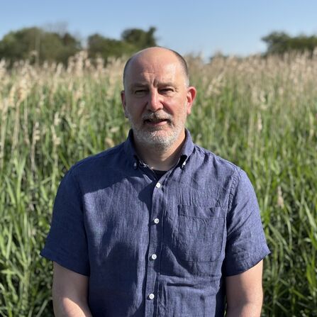 A man stands outdoors in front of tall green reeds under a clear blue sky. He wears a short-sleeved blue  button-up shirt and looks toward the camera in bright sunlight.