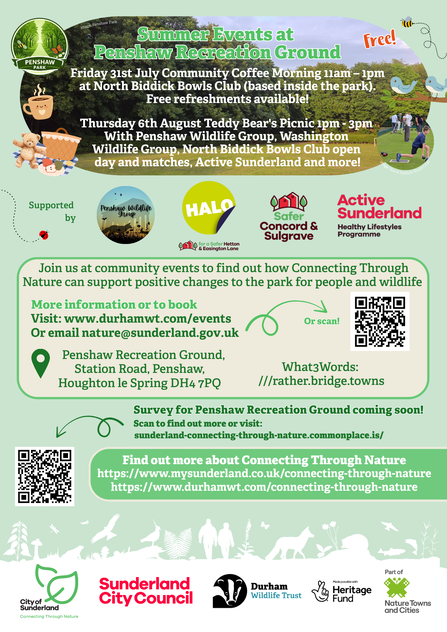 Penshaw Park Summer Events Flyer