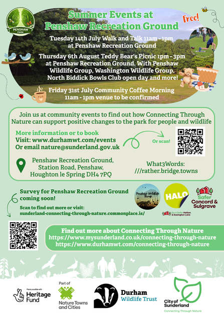 Penshaw Park Summer Events Flyer
