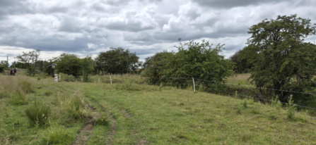 A grassy field with scattered trees under a cloudy sky. A narrow dirt path runs through the grass, bordered by a white wire fence. A few people walk in the distance near the left side, and the scene feels open and rural.