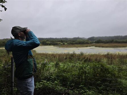 A person wearing a green and blue jacket and a cap stands beside a wire fence, looking through binoculars over a wetland landscape. The scene shows tall grasses and vegetation in the foreground, with a wide expanse of water and distant trees under a cloudy grey sky — capturing a peaceful moment of birdwatching or wildlife observation.
