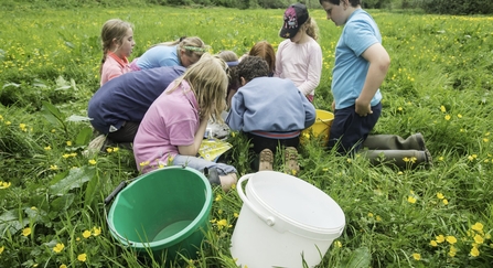 Children learning about wildlife in nature