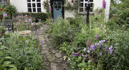 a cottage garden 