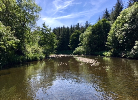 A view of the river from Low Barns Nature Reserve