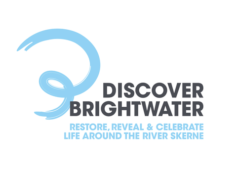 Discover Brightwater logo