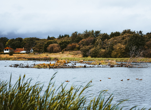 View across the lake at Low Barns