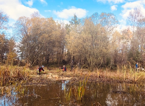 volunteers doing work in pond