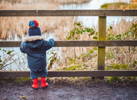 Small child standing behind fence looking over pond 