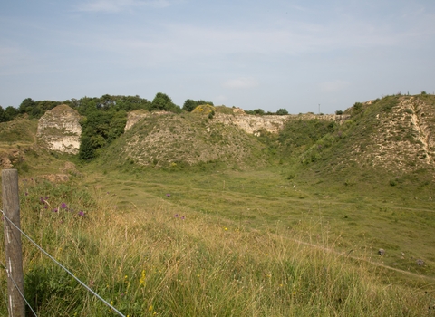 Bishop Middleham Quarry nature reserve