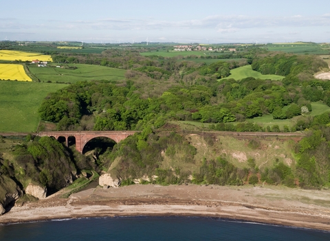 Hawthorn Dene Nature Reserve