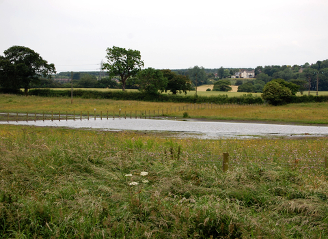 Lamesley Pastures Nature Reserve