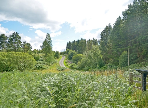 Longburnford Quarry Nature Reserve