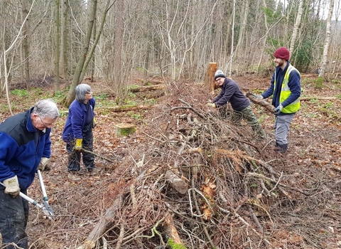 Milkwellburn Wood Nature Reserve