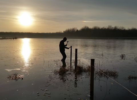 Rainton Meadows Nature Reserve