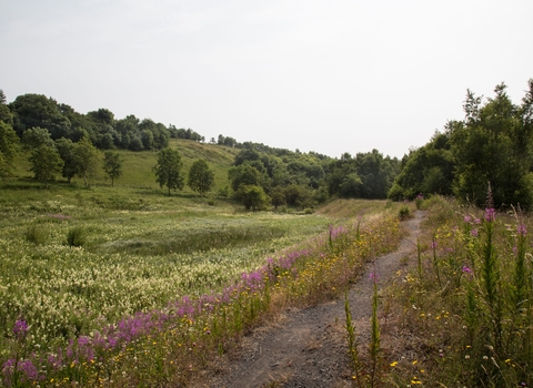 Raisby Hill Grassland Nature Reserve