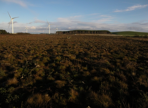 Stanley Moss Nature Reserve