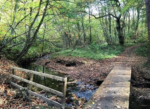 Tudhoe Mill Nature Reserve