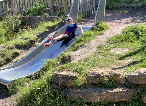 Rainton Meadows Nature Reserve Wildly area