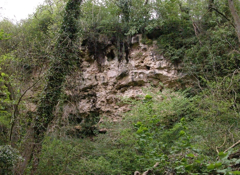 Heselden Dene Nature Reserve 