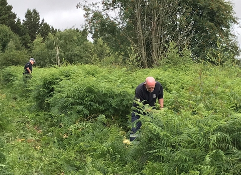 heart of durham volunteers bracken clearing