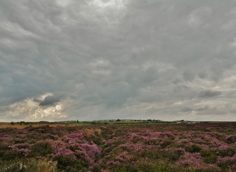 View of stanley moss nature reserve