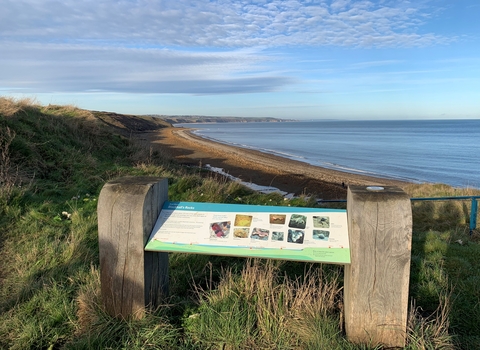 Blackhall Rocks Nature Reserve