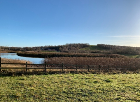 Running Wild Rainton pond 1