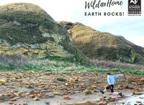 wild at home earth rocks