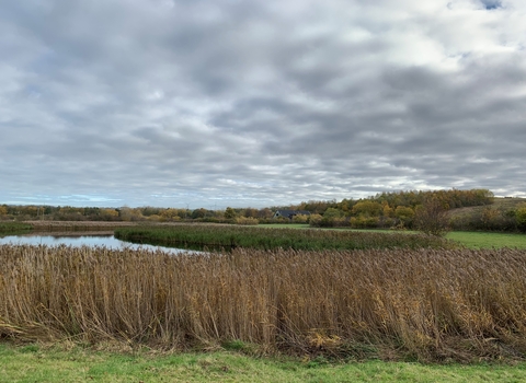 Rainton Meadows Nature Reserve in autumn looking at visitor centre over the pond