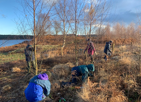 Heart of Durham Task Day scrub management at Pow Hill Heath