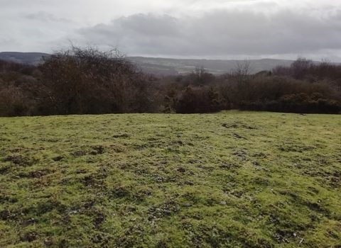 Smiths Lea (Beda Hills) view over field towards trees