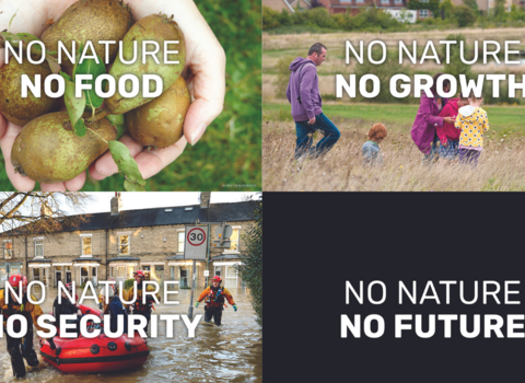 No nature, no food postcard