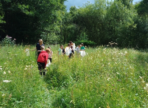 Children at education session, bug hunting in meadow rangers