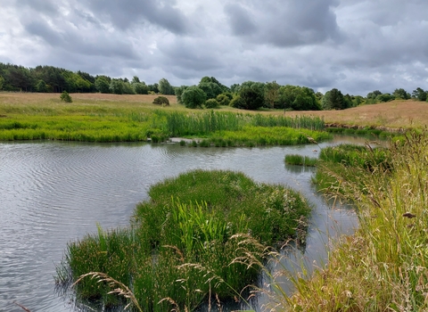 wetland and fields
