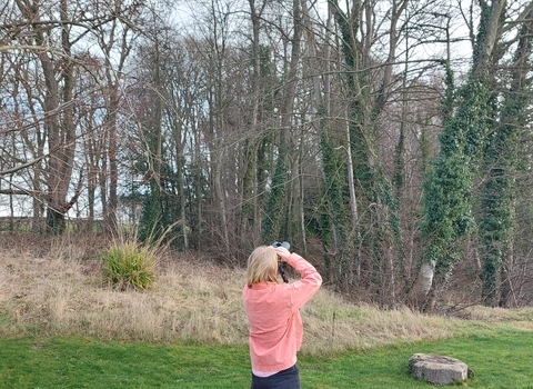 Person looking up at trees through binoculars