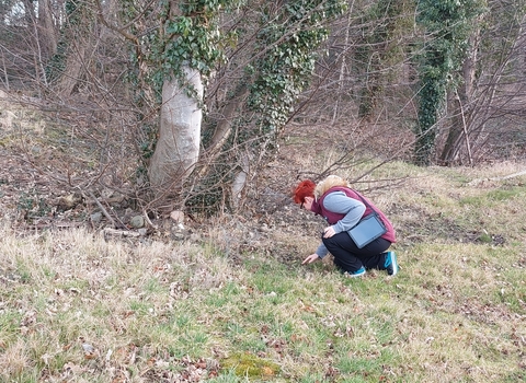 Person kneeling to survey ground near tree