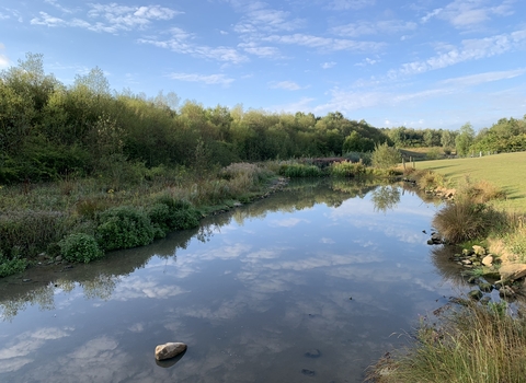 a pond surrounded by grass banks and trees