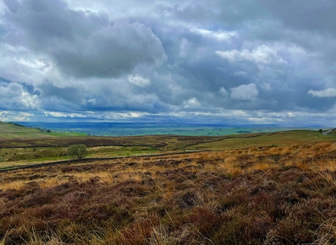 View of Cuthbert's Moor