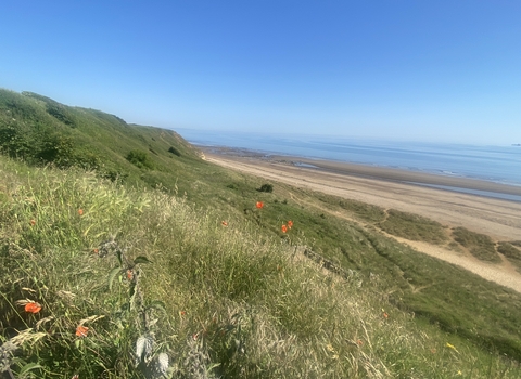 grasslands with beach and sea in distance